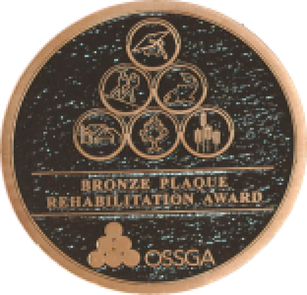 Bronze Plaque Award | OSSGA